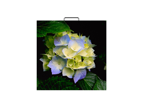 VL係列室內小間距（jù）屏