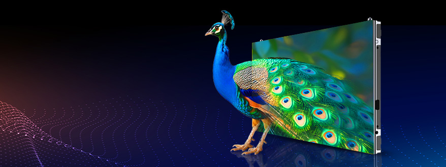 LED顯示屏,LED顯（xiǎn）示屏廠家,LED照明廠家,照明解決（jué）方案,顯示屏解決方案