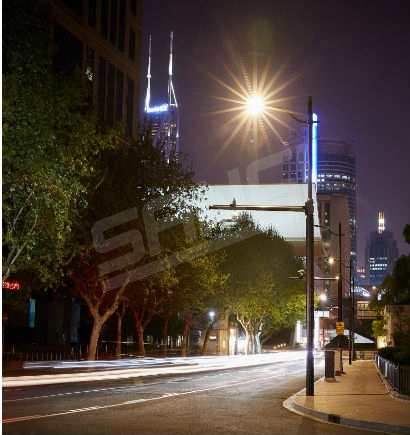 上海威（wēi）海路