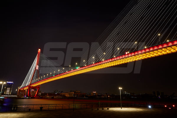 楊（yáng）浦大橋