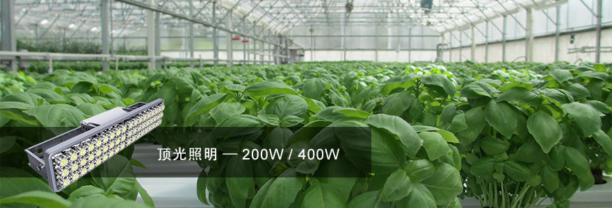 大香蕉9草在线·頂光照明