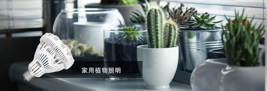大香蕉9草在线·植物照明