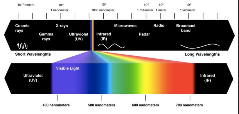 植物生長光譜(pǔ)
