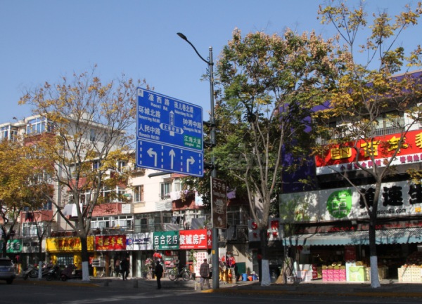 南（nán）通市區三（sān）思LED陶瓷像素（sù）模塊化路燈