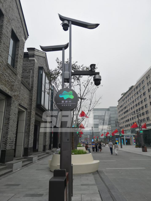 杭州湖濱路智慧路燈（dēng）