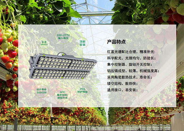 植（zhí）物生長照明