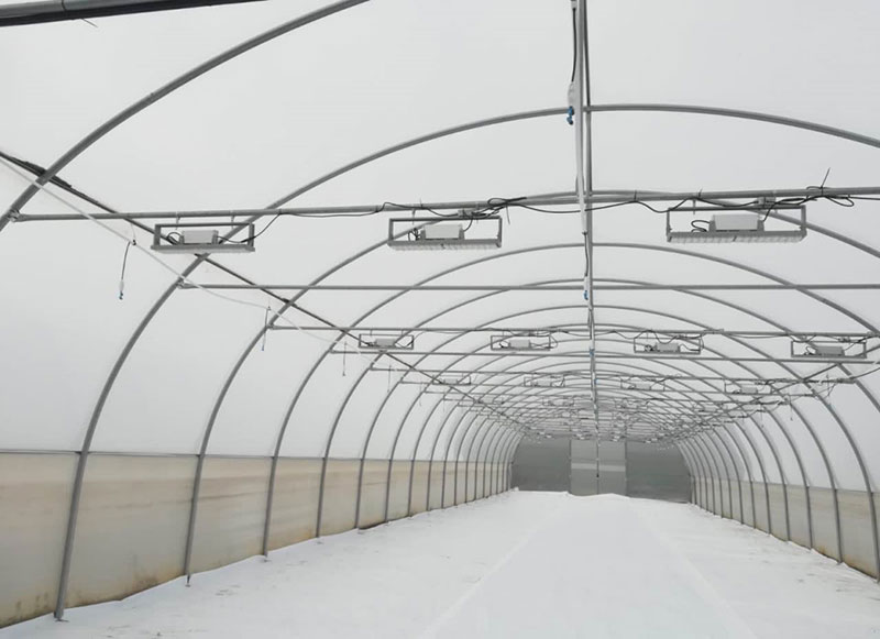 保加利亞(yà)某溫室大棚