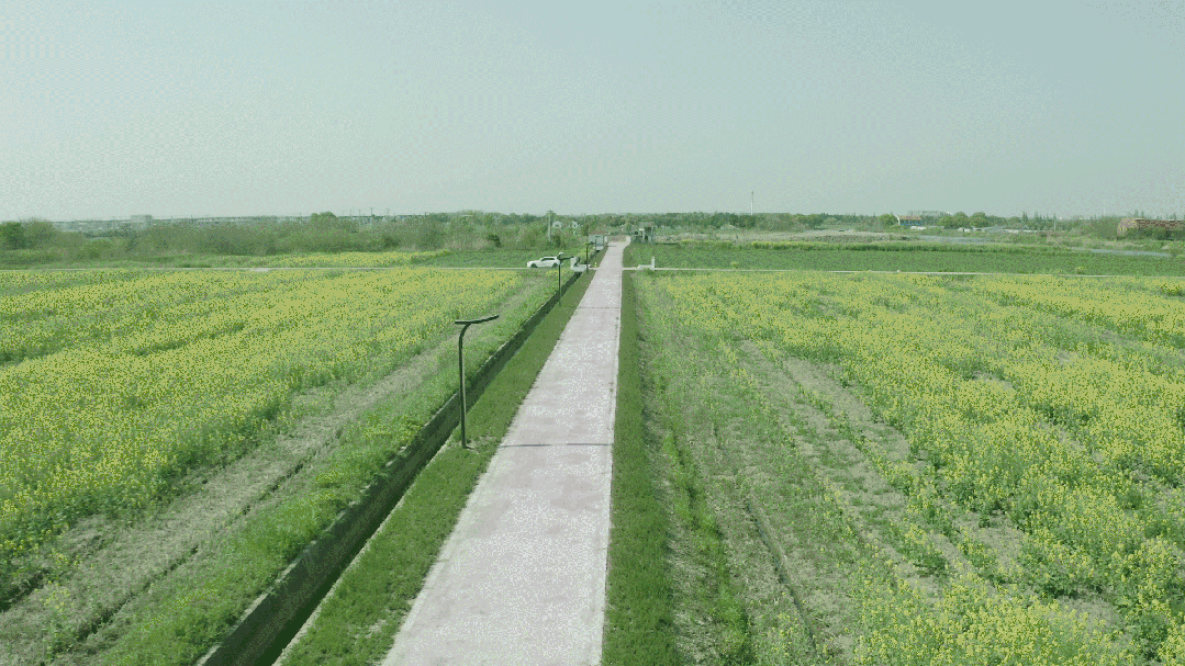 昆山之鏈,美麗鄉村,LED路燈,道路照明,上海大香蕉9草在线