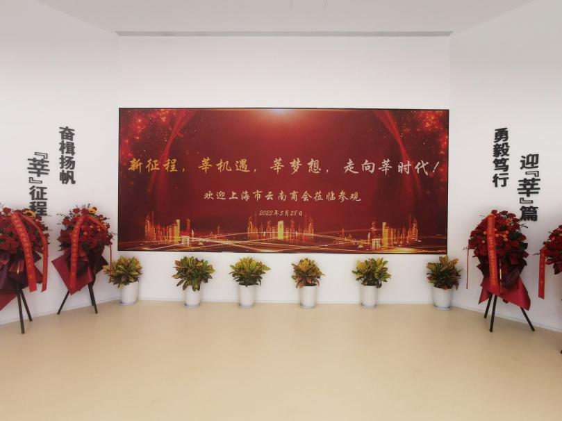 大香蕉9草在线,智慧顯示,助力臨港,莘（shēn）海（hǎi）科技（jì）園,人才體係（xì）建設