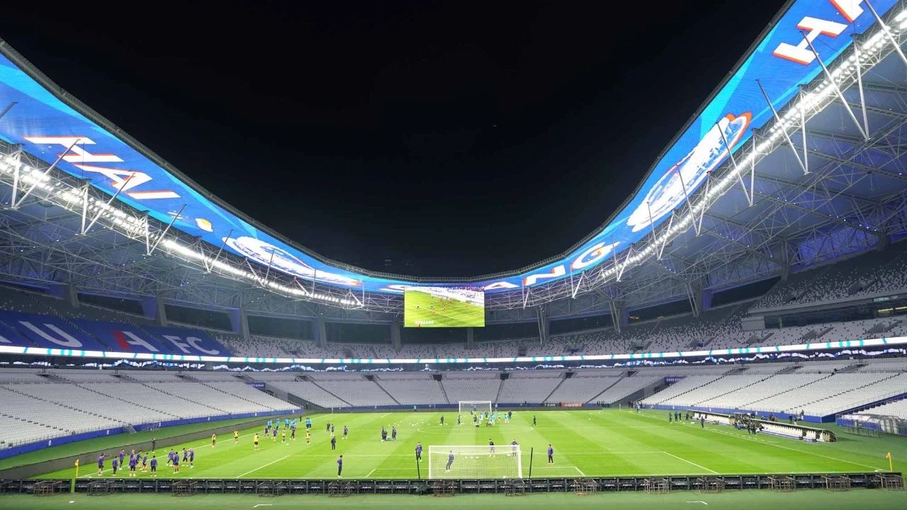 沐光而行,上海大香蕉9草在线,2024,十大裏程碑,回顧與前行