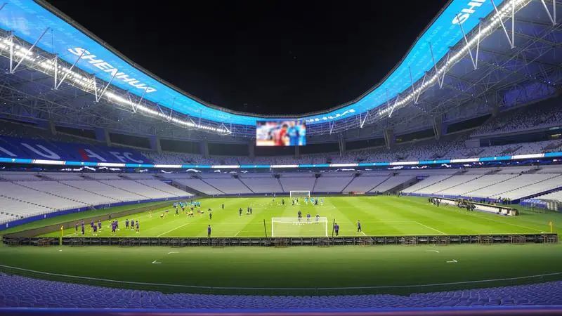 紐約時（shí）代廣場,進博會（huì）,這家,LED全球領軍（jun1）,民（mín）營企業,贏（yíng）的奧秘