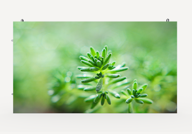 VEⅢ MCOB係列微間距顯示屏